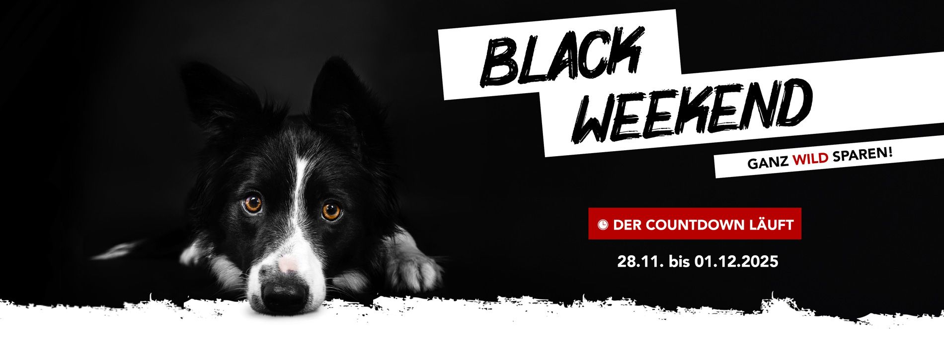 Wildborn Black Weekend 2024