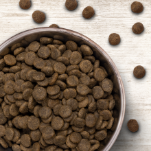 Wildborn Meadow Lamb 2 kg mit Lamm