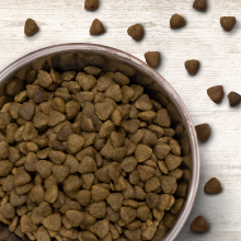 Wildborn Wild Mustang mit Pferdefleisch 8 kg