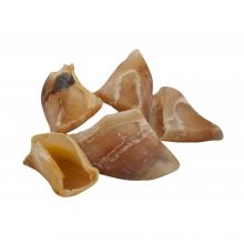 Kauhufe 10 Stück Kauhufe 10 Stück