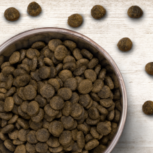 Wildborn Blackwoods 2 kg mit Kaninchen, Wildschwein & Rentier