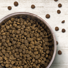 Wildborn Ente & Kartoffel MINI 2 kg - fr kleine Hunde