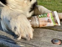 Wildborn Premium Leberwurst aus der Tube 12 x 75 g