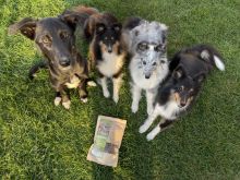 Wildborn Natural Super Bites Hundesnack 200 g