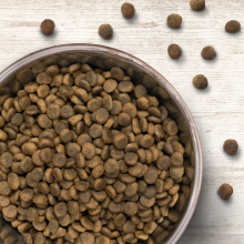 Wildborn Ente & Kartoffel JUNIOR 8 kg - fr Welpen & Junghunde