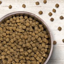 Wildborn Wild Turkey mit Truthahn 8 kg