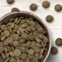 Wildborn African Outback 400 g