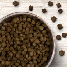 Wildborn Silver Creek Doppelpack 2 x 12 kg