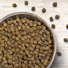 Wildborn Ente & Kartoffel 12 kg + 2 kg gratis