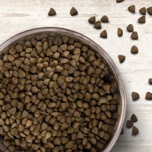 Wildborn Natural Puppy 400 g