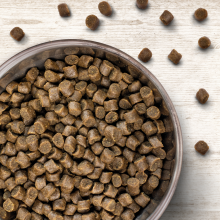 Wildborn Soft Diamond Mini 4 kg