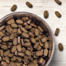 Wildborn Soft Jewel Maxi 12 kg + 1 kg gratis