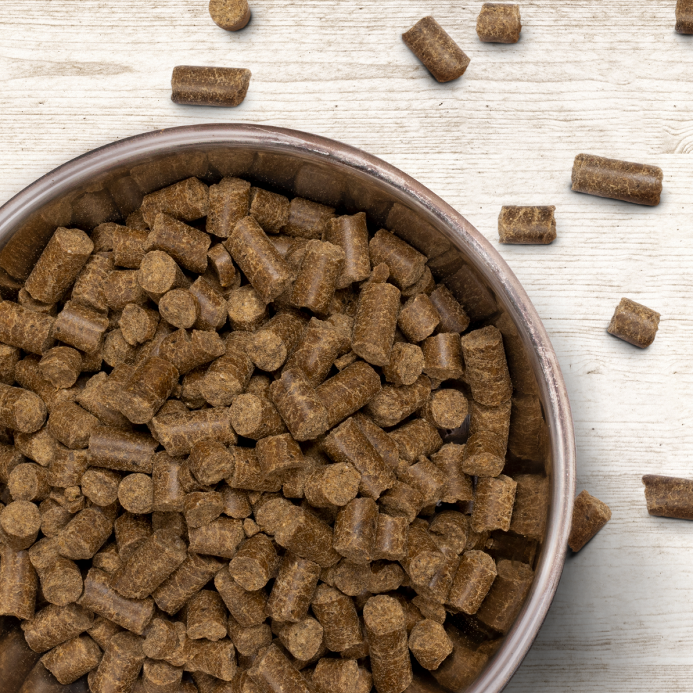 Wildborn Prime Chicken Hundefutter 500 G – Kaltgepresst, Getreidefrei Mit Hühnchen