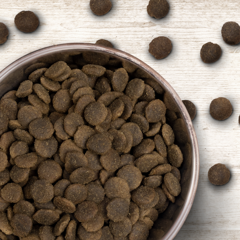 Siland Adult Hundefutter Medium/Large – Monoprotein Mit Schwein & Zitrus, 12 Kg
